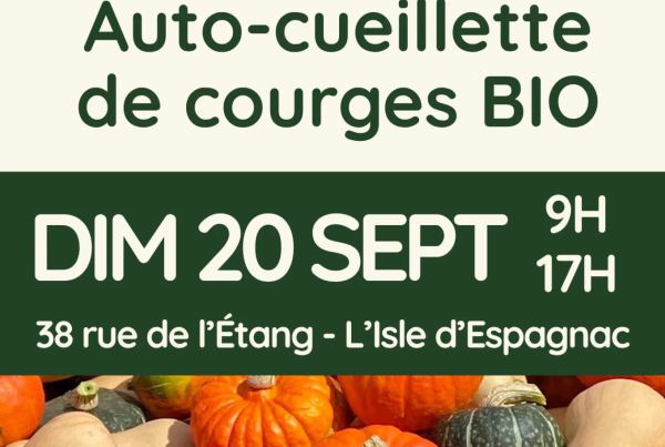 Auto-cueillette de courges bio aux Jardins de Poppy