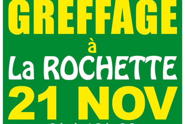 Matinée de greffage ouverte à tous le 21 novembre